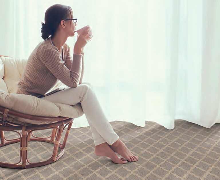 Carpet Care & Cleaning Guide